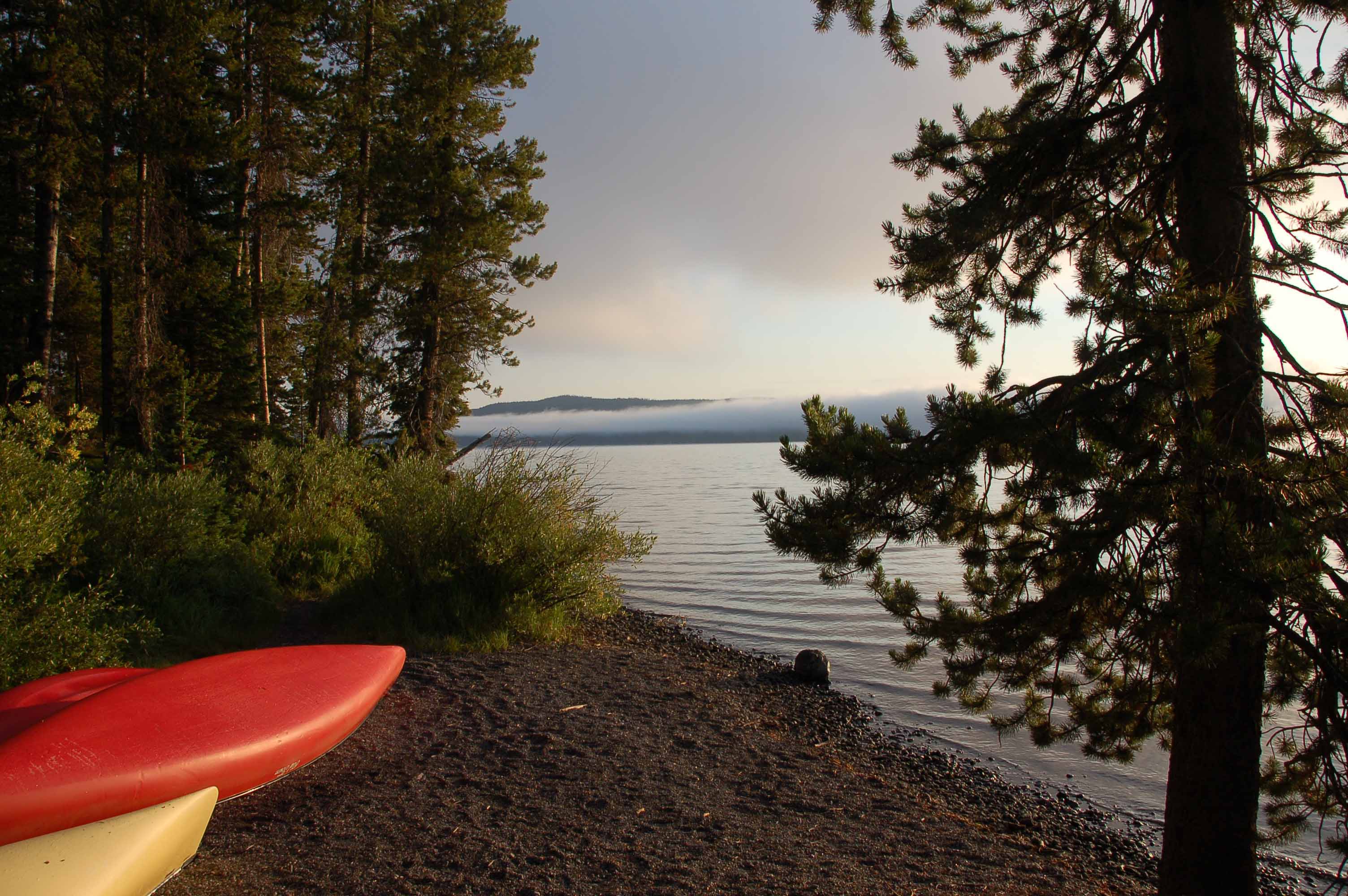 A body of water with trees in the background

Description automatically generated