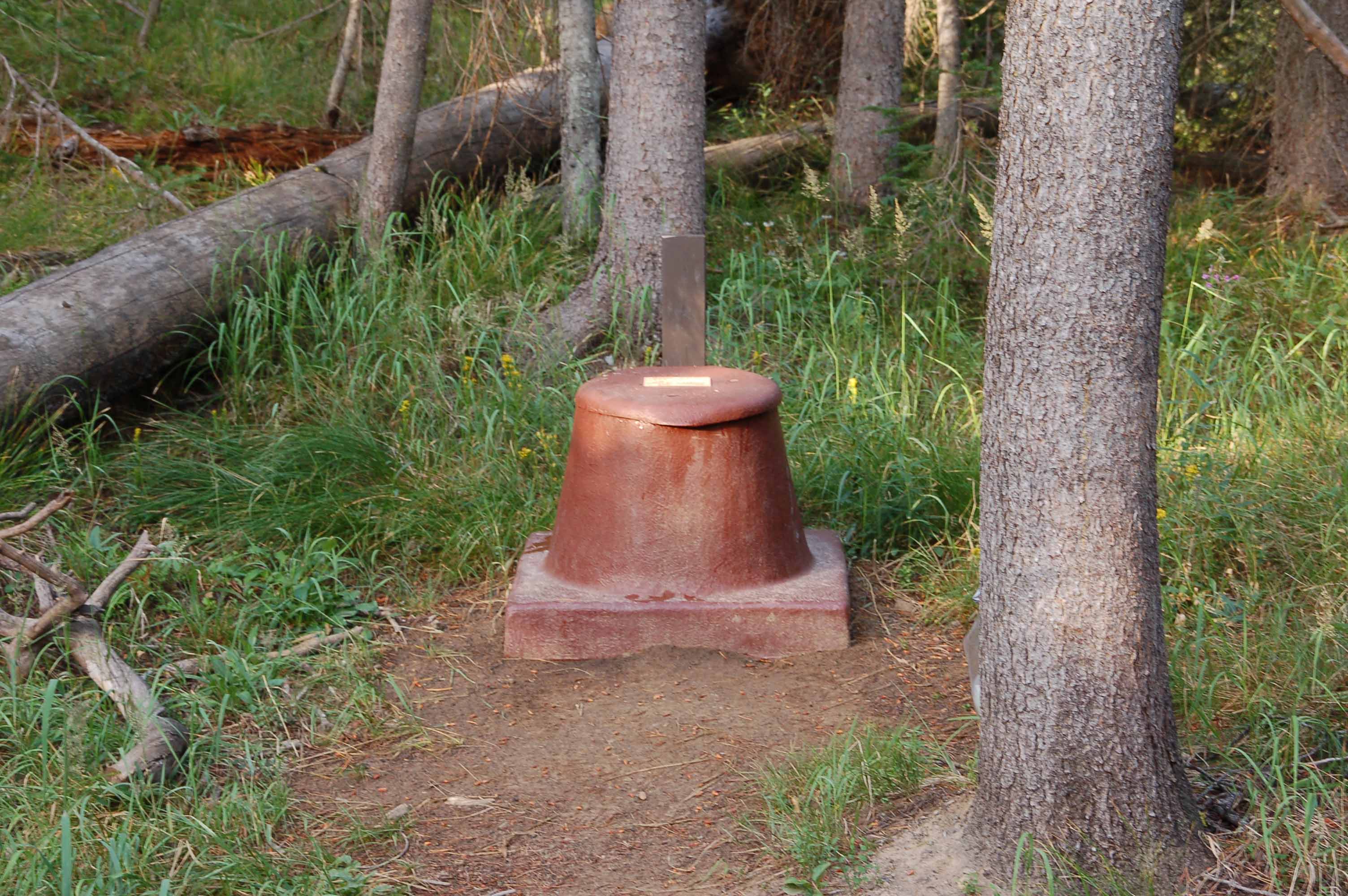 A fire hydrant next to a tree

Description automatically generated