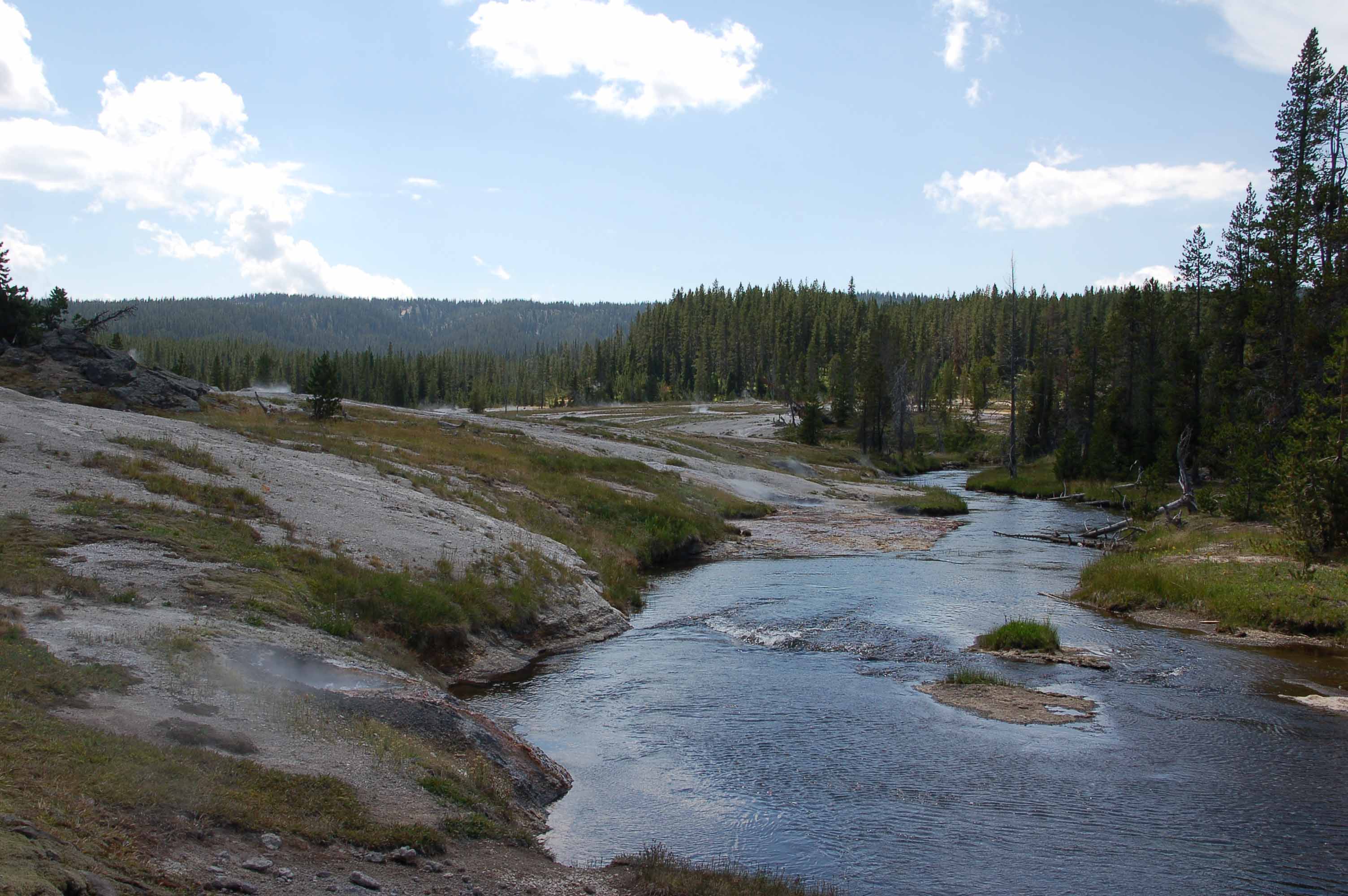 A path with trees on the side of a river

Description automatically generated