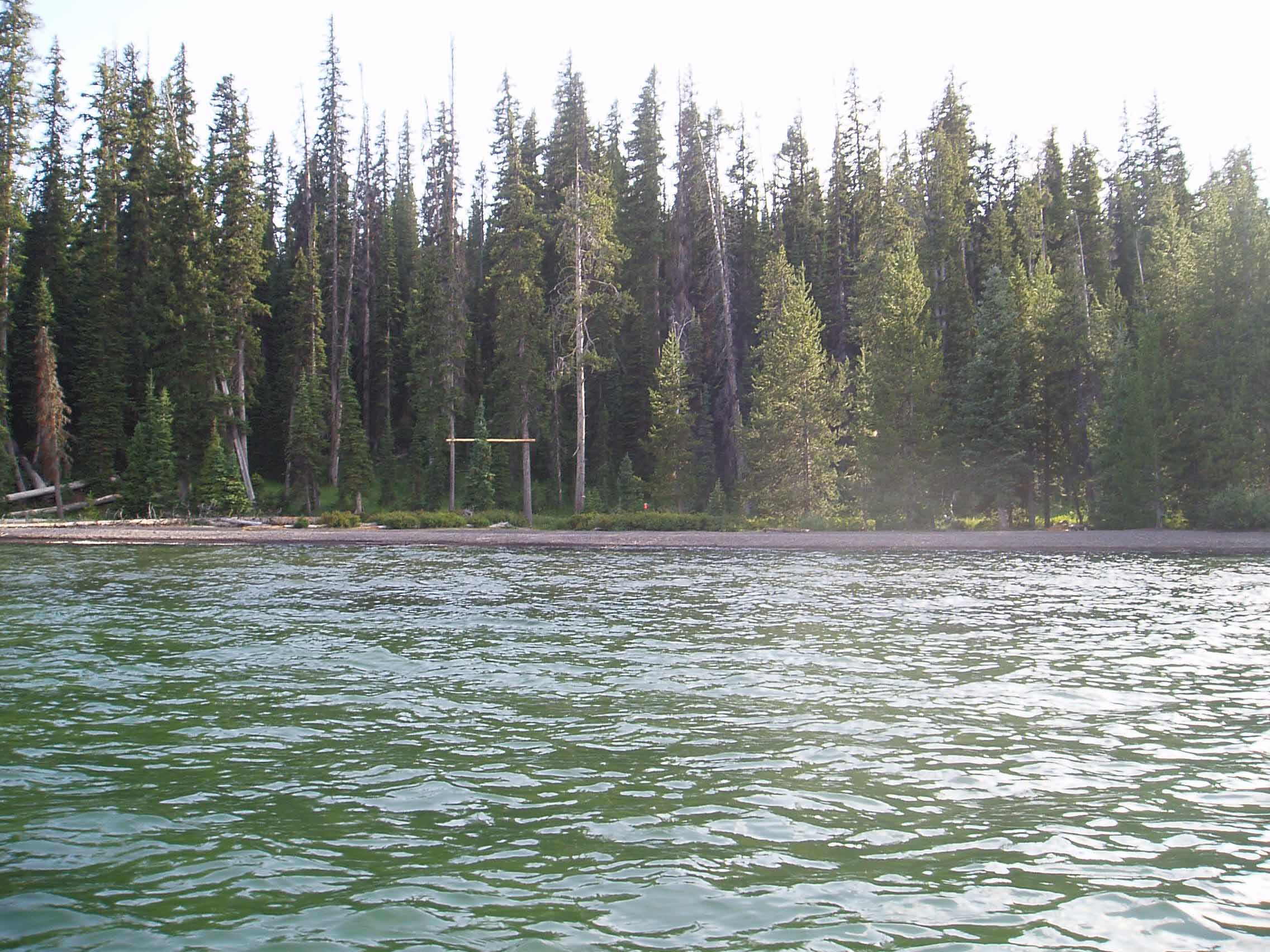 A person standing in front of a lake

Description automatically generated