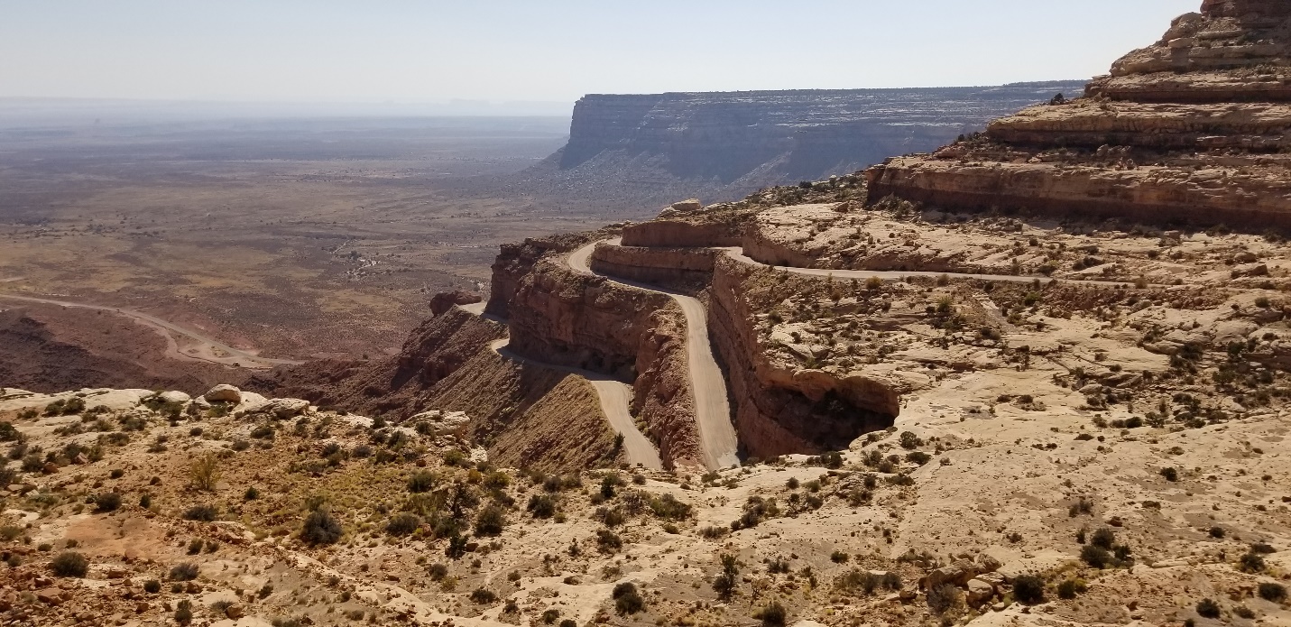 A close up of a desert field with a mountain in the background
Description automatically generated