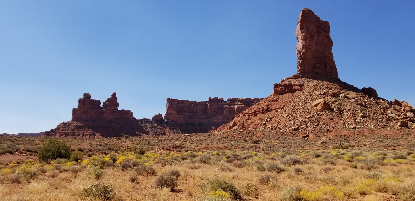 A close up of a desert field with a mountain in the background

Description automatically generated