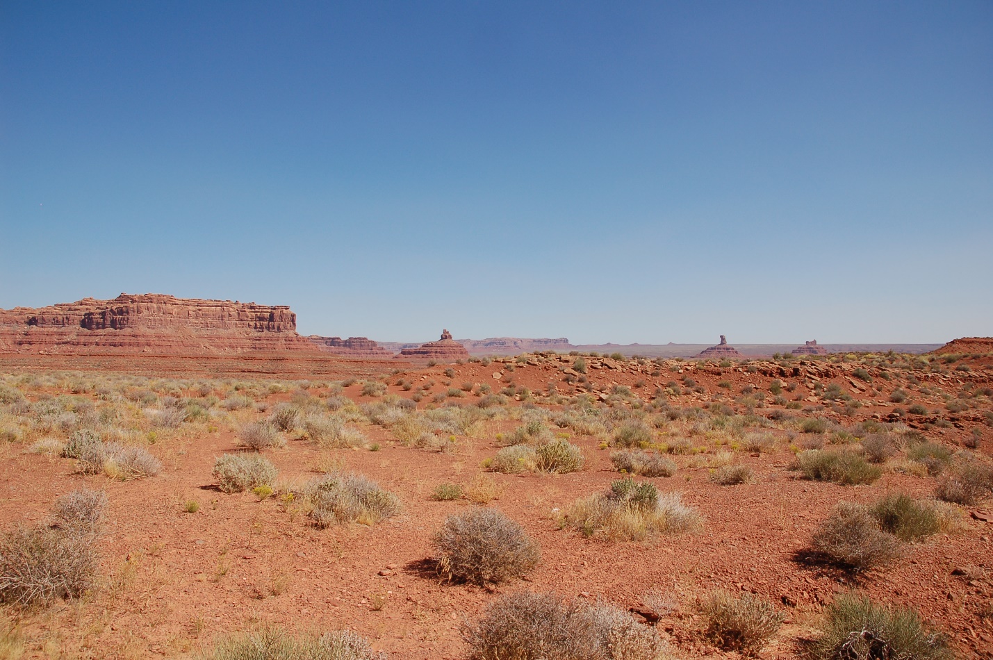 A close up of a dry grass field

Description automatically generated