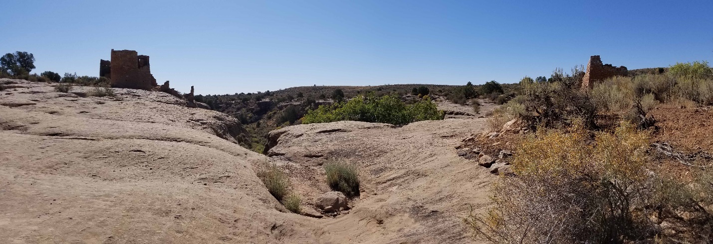 A close up of a dry grass field

Description automatically generated