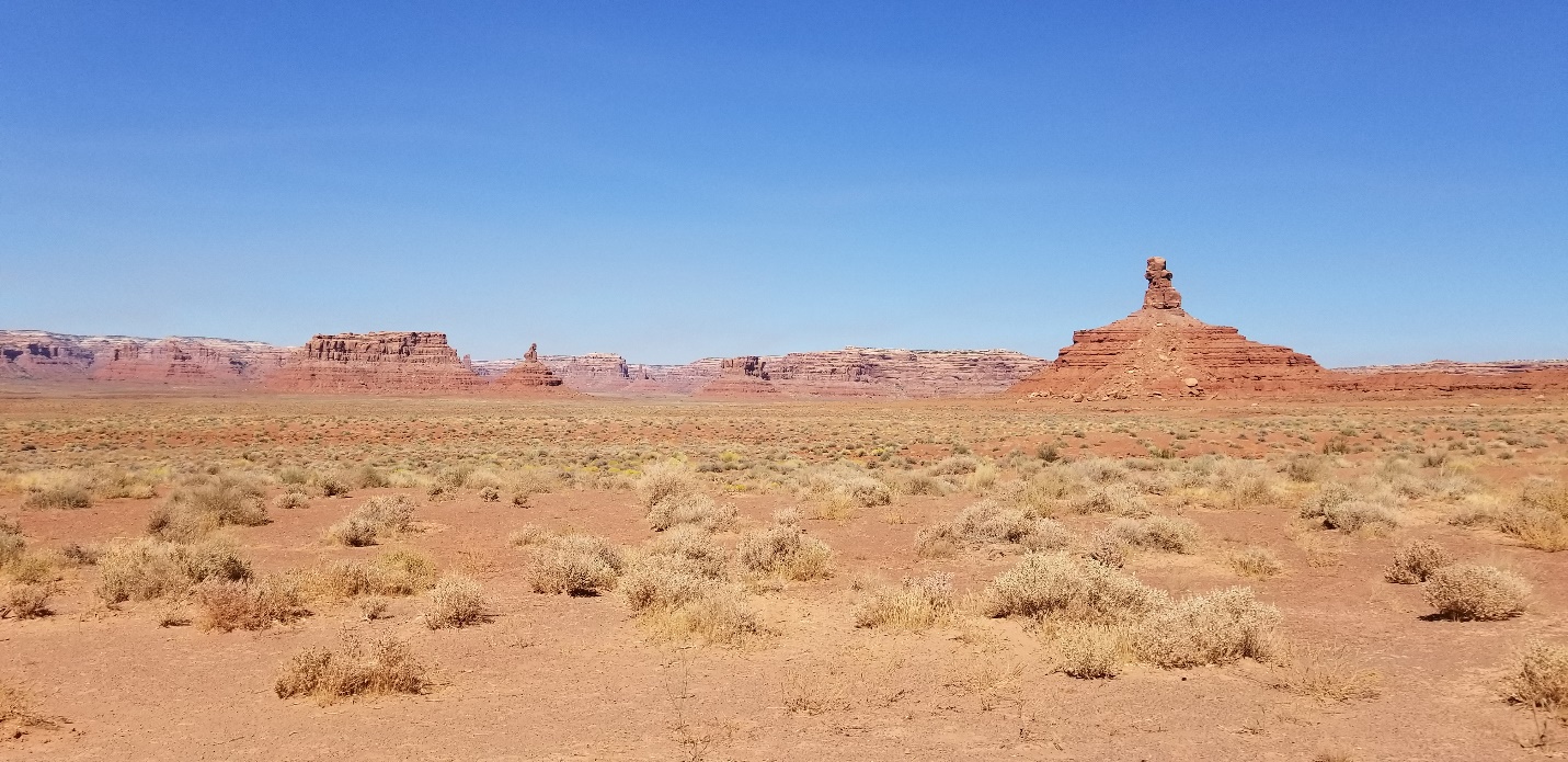 A close up of a dry grass field

Description automatically generated