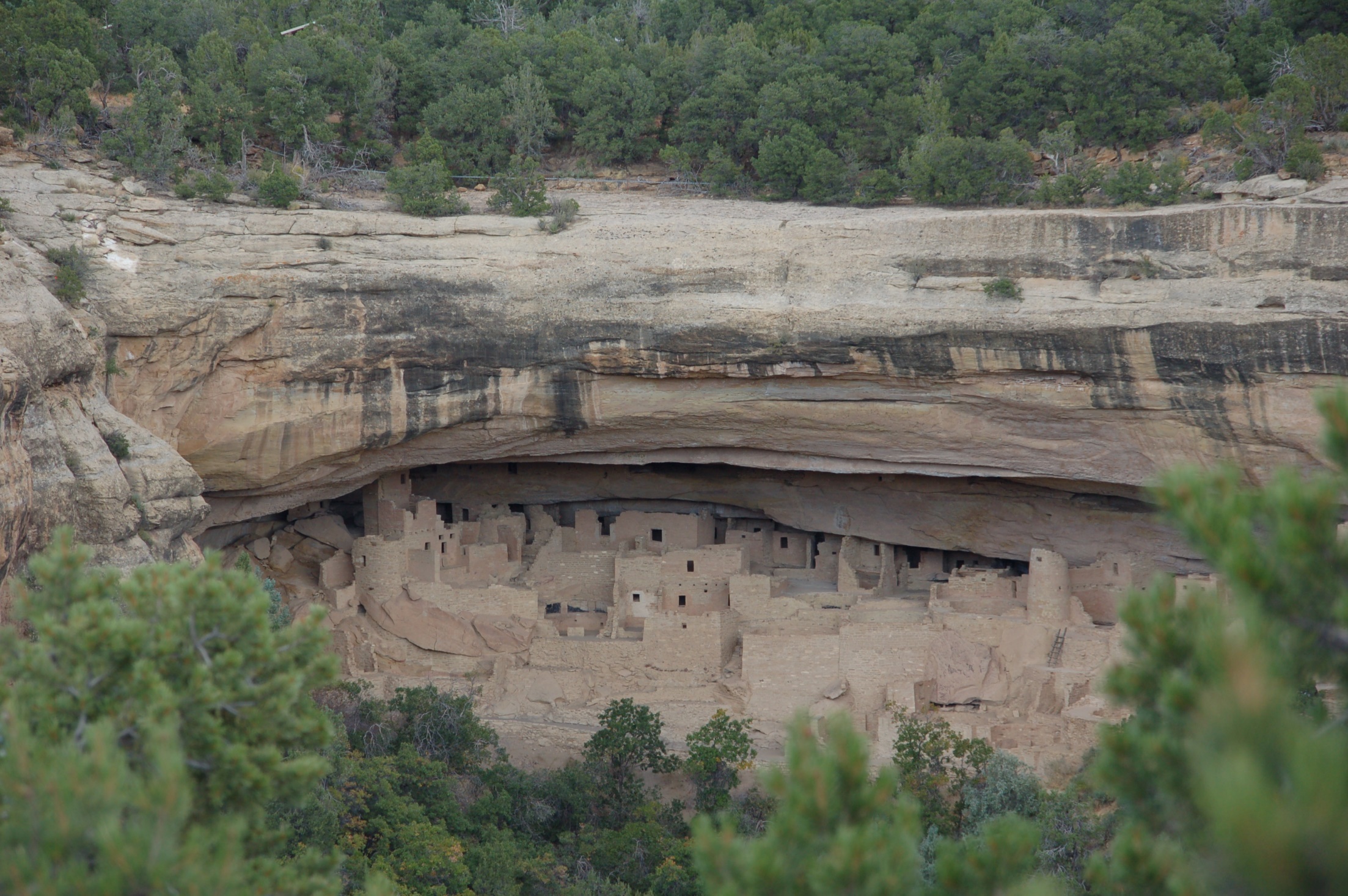 A close up of a large rock

Description automatically generated